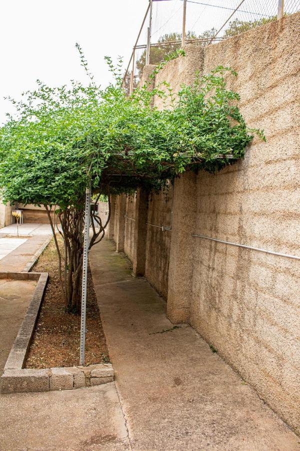 Bed and Breakfast Casa Mas Montanas Godelleta Екстер'єр фото